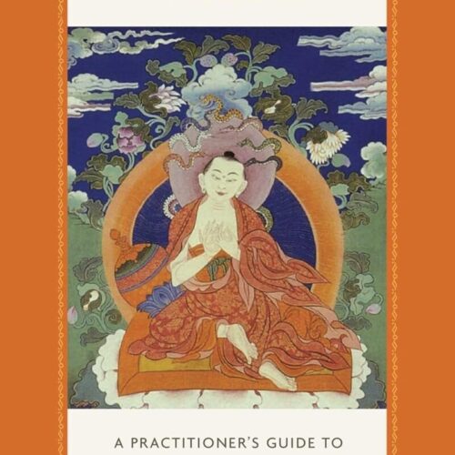 Nagarjuna’s Wisdom / Barry Kerzin