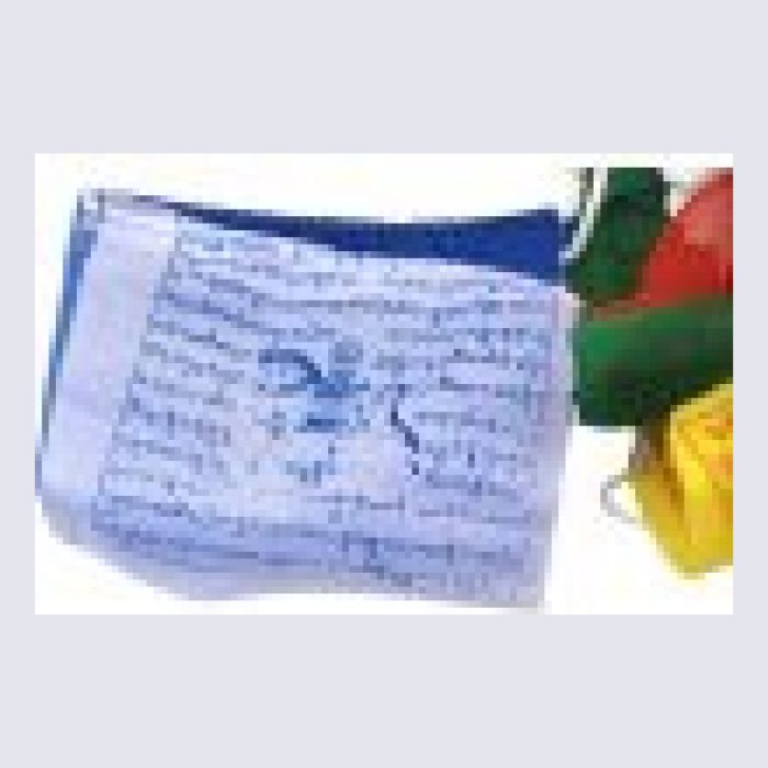 Windhorse Prayer Flags - string of 25