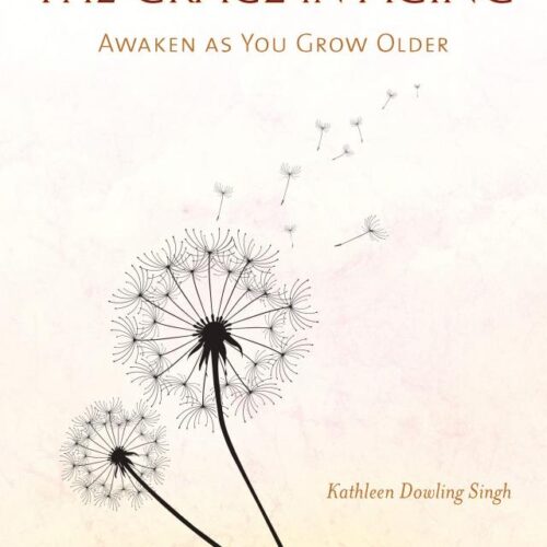 Grace in Aging / Kathleen Dowling Singh
