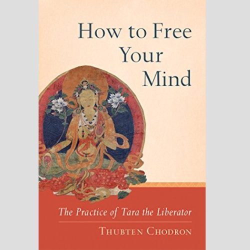 How to Free Your Mind: The Practice of Tara the Liberator / Thubten Chodron