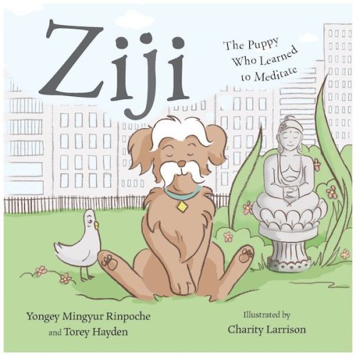 Ziji: the puppy who learned to meditate / Yongey Mingeyur Rinpoche & Torey Hayden